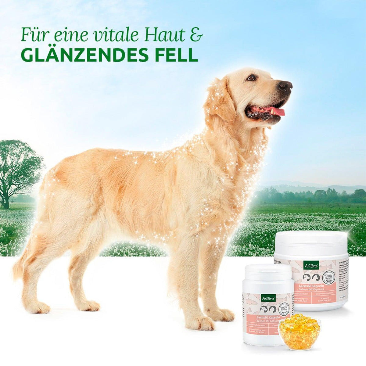 Cápsulas de aceite de salmón omega 3 - El Barfero