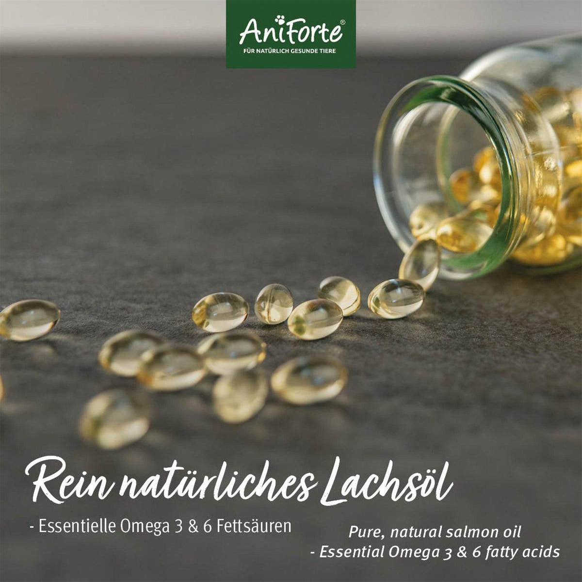 Cápsulas de aceite de salmón omega 3 - El Barfero