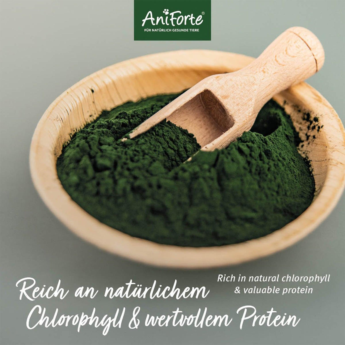Espirulina orgánica en polvo - El Barfero