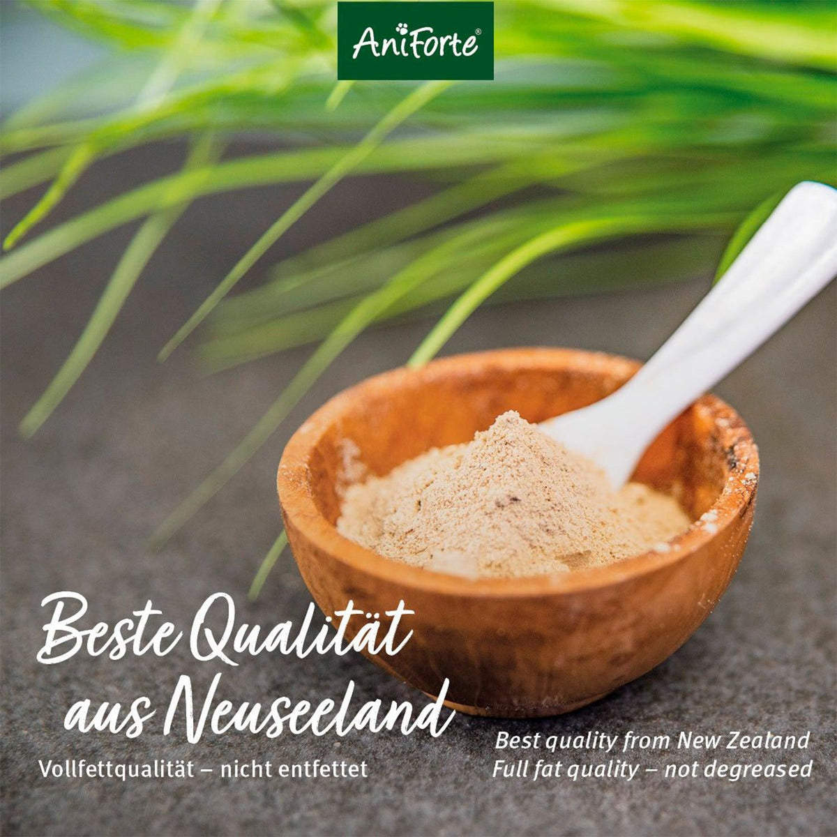 Mejillón de labios verdes en polvo - El Barfero