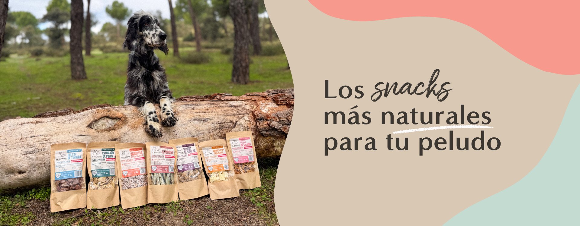 Barf snacks naturales para perros
