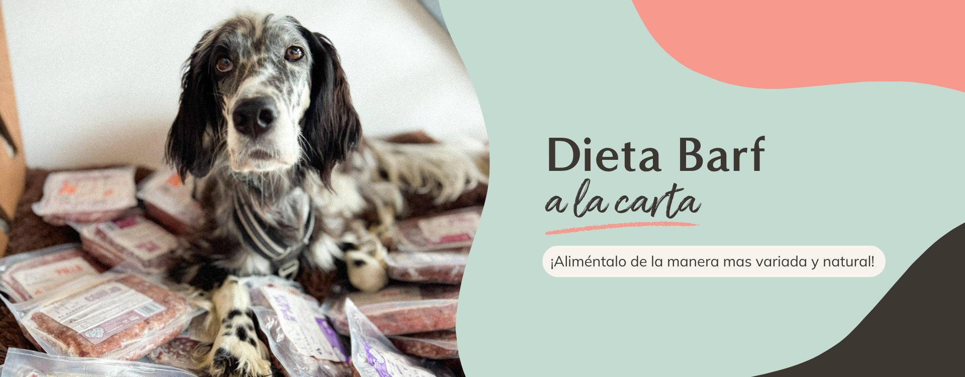Dieta Barf a la carta