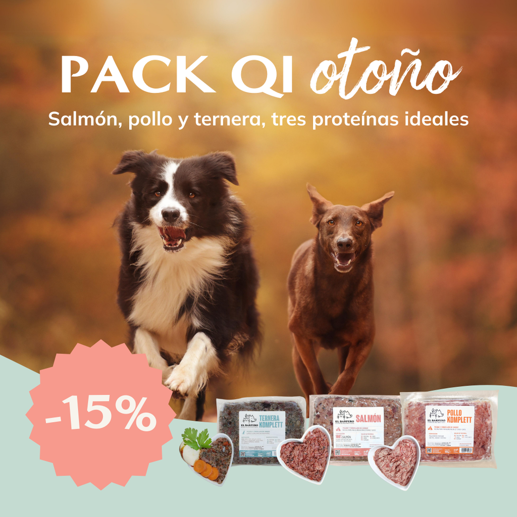 Pack Qi de Otoño (18+ unidades)